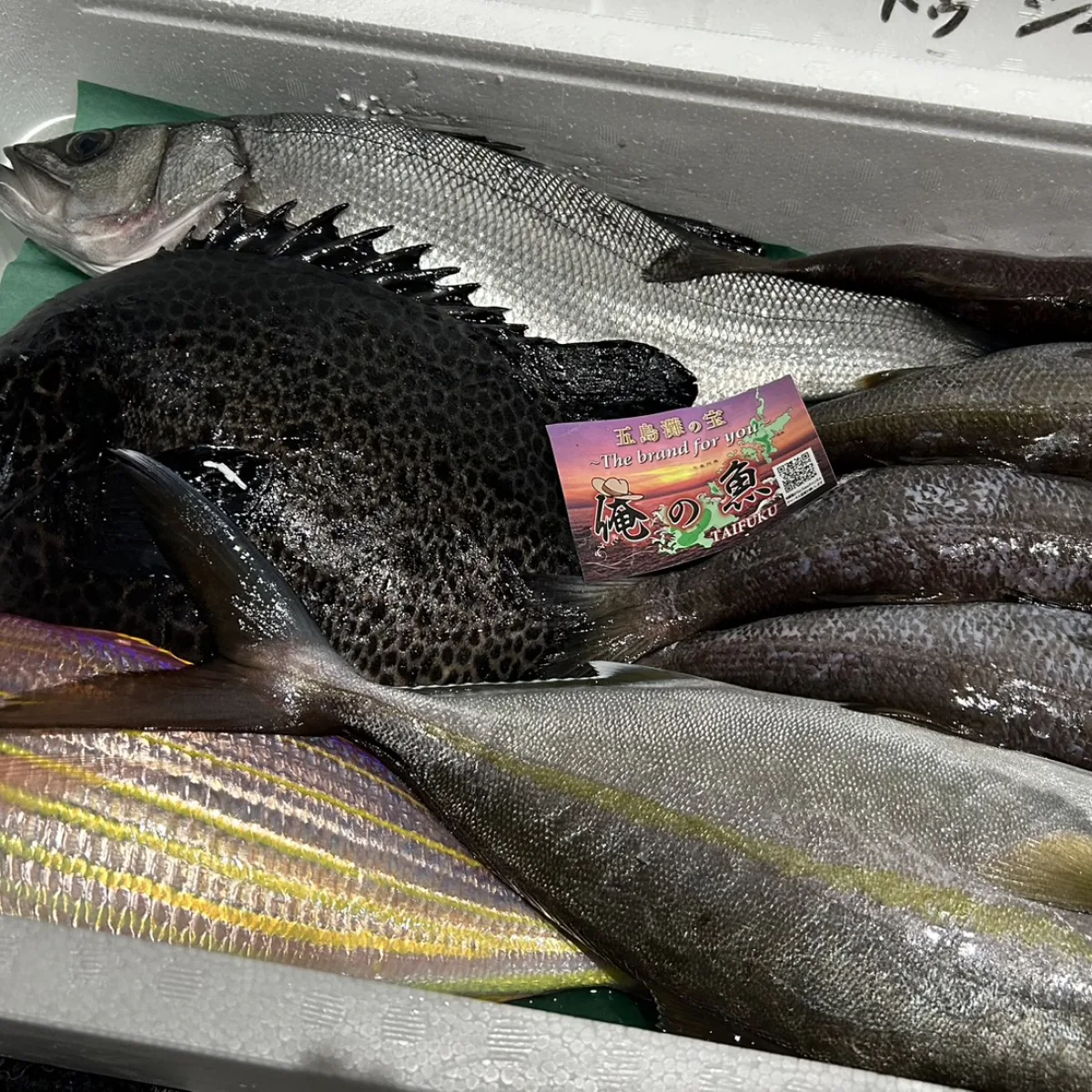 いつも送られてくる飲食店からの熱い想い