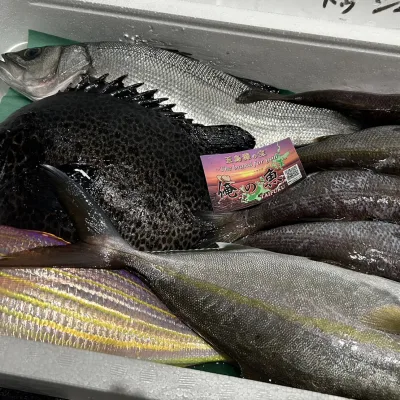 いつも送られてくる飲食店からの熱い想い
